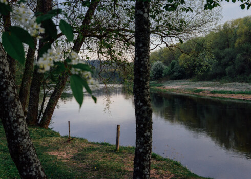 Sigulda šajā nedēļas nogalē izskatās īpaši skaista.