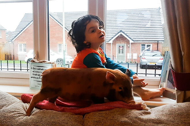 4-летний сын Джил и Скотта Оукли страдает аутизмом и не может разговаривать. Только Руди заставляет мальчика проявлять интерес к окружающему миру