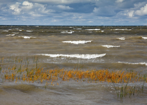 Rīgas jūras līcis