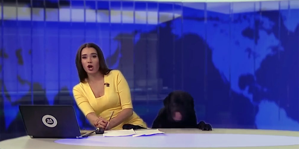 Suns Krievijā iejaucas ziņu tiešraidē un samulsina vadītāju