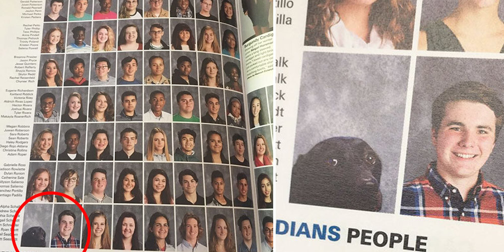В ежегодном школьном альбоме одним из выпускников стала... собака