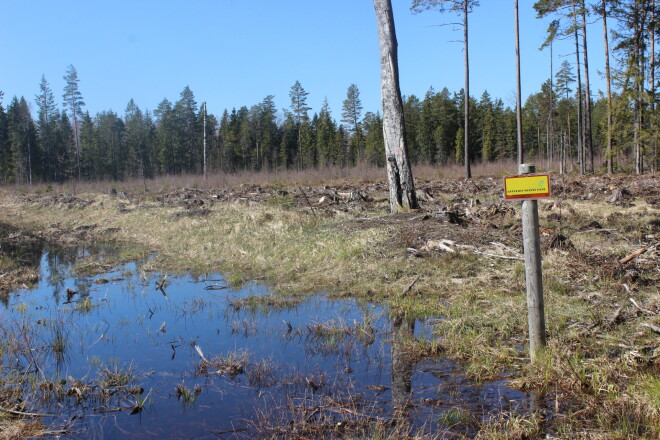 No meža te palikusi Latvijas Valsts mežu izkārtne. 