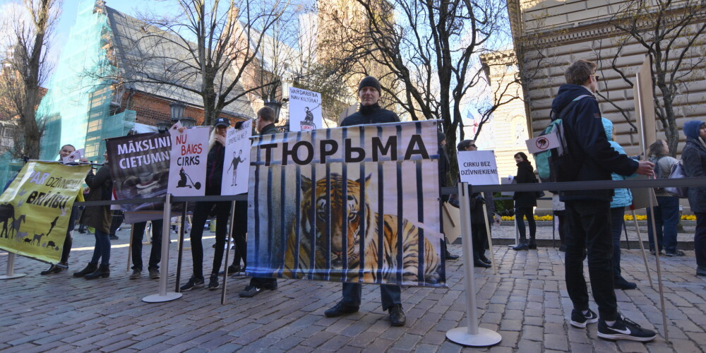 Противники использования зверей в цирке проведут у Сейма акцию протеста, сидя в клетках