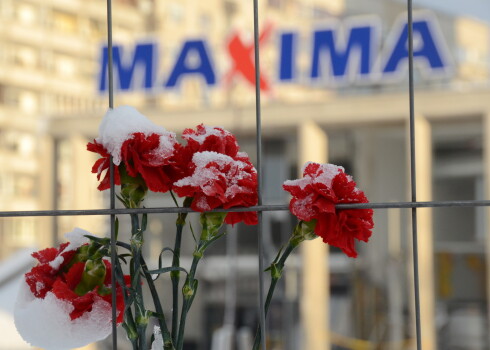Apsniguši ziedi pie nožogojuma ap lielveikala "Maxima" graustu, kur, iegrūstot veikala jumtam, dzīvību zaudēja 54 cilvēki.