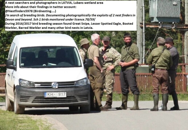 Seši britu putnu ligzdu meklētāji, kurus Lubāna apkārtnē pamanīja ornitologs Gaidis Grandāns.