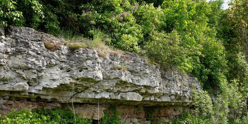 Doles sala ir bijusī lielākā sala Daugavas lejtecē, senās ārējās deltas rajonā. Tā atrodas Salaspils novada Salaspils pagasta dienvidrietumu daļā starp Ceļa Daugavu ziemeļaustrumos un Sauso Daugavu dienvidrietumos. Mūsdienās Doles sala faktiski ir pussala, ko ar Daugavas kreiso krastu savieno uzbērts dambis, bet labo — spēkstacijas aizsprosts.