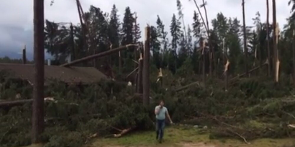 Буря в Сигулде повалила деревья и сорвала крыши