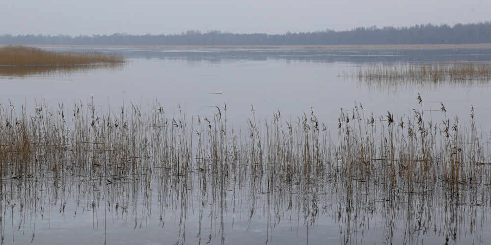 В озере в Тауренской волости утонули два молодых человека