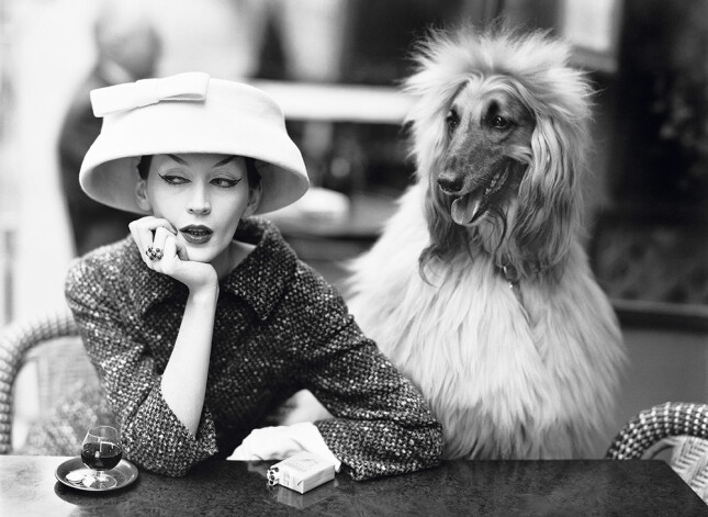Slavenā modele Dovima Balenciaga tērpā, Parīze, 1956. gads.