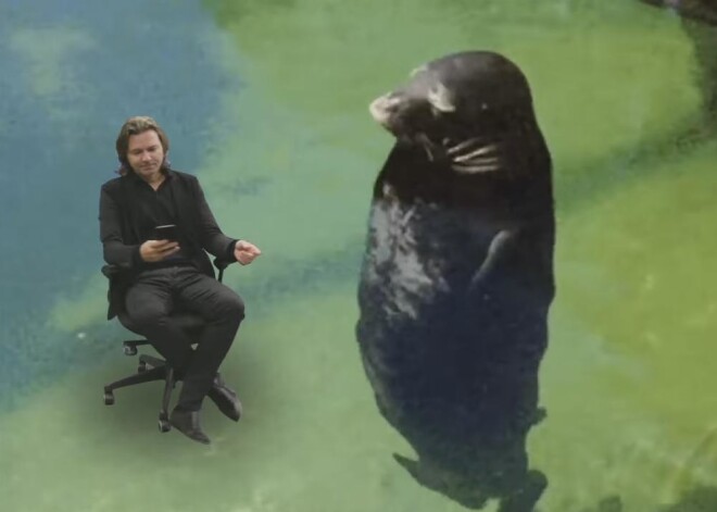 Новый мем с Дмитрием Маликовым снова «взорвал» сеть