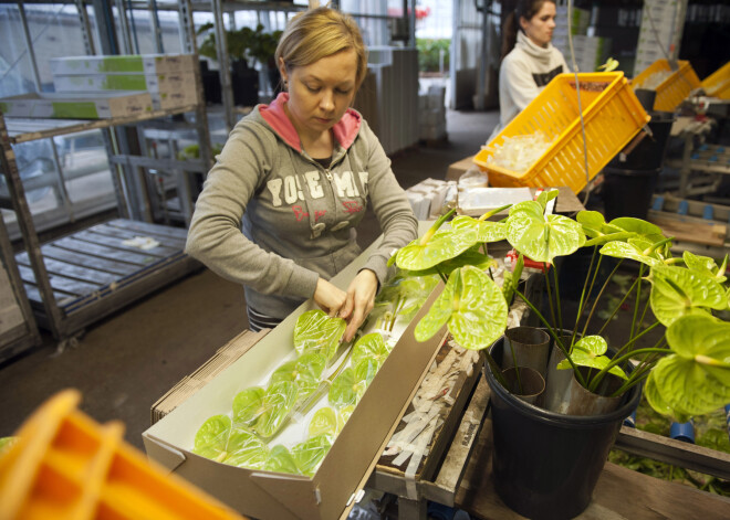 Lietuvā likvidēts starptautisks vergu tirgoņu grupējums