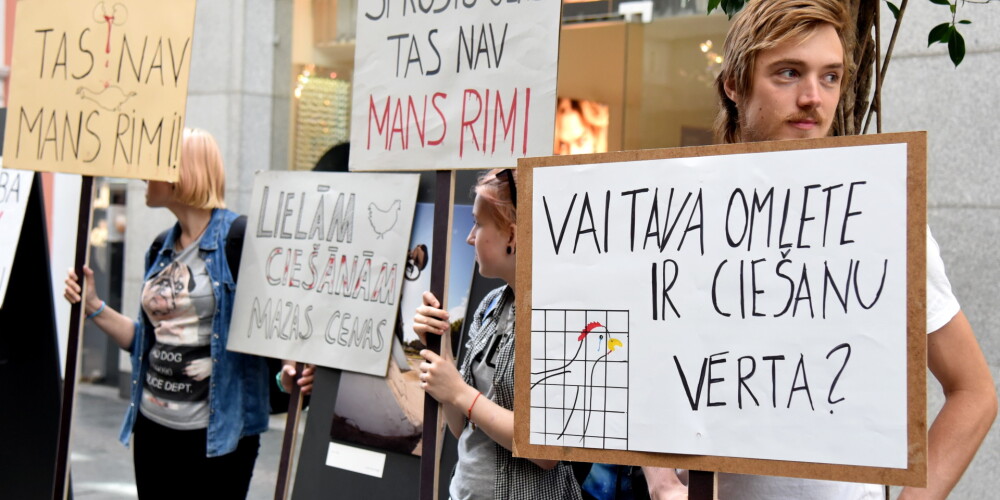 Biedrības "Dzīvnieku brīvība" rīkotā piketa dalībnieki pie "Rimi Galerija Centrs" aicina tirgotāju apņemties līdz 2025.gadam pilnībā atteikties no sprostos turētu vistu olu tirdzniecības.