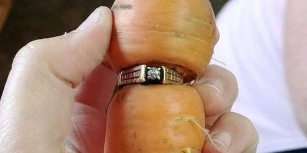 Vecmāmiņas sen pazaudēto dimanta gredzenu atrod burkāns