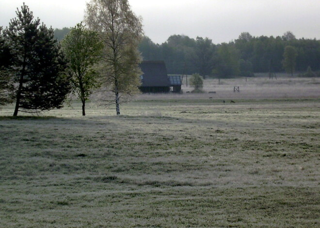 Naktī uz otrdienu gaidāmas salnas