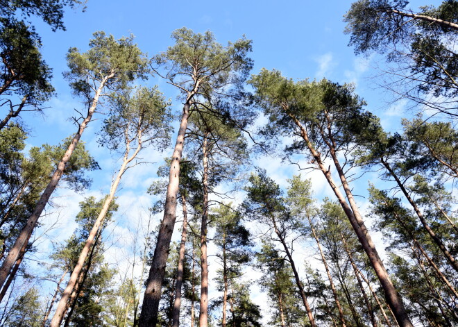 Trešdien starp mākoņiem uzspīdēs saule, vietām līs