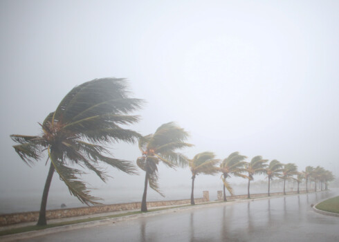 Ураган "Ирма" уже унес жизни по меньшей мере 22 человек