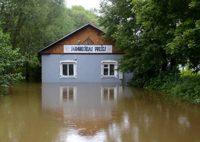 Pēc plūdiem skolā konstatē zarnu nūjiņas, ierēdnis to noklusē un dodas atvaļinājumā uz Armēniju