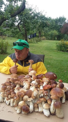Jānis Jarāns novērojis, ka baravikas aug noteiktos gados: „Baraviku gadi ir reizi pa diviem, četriem gadiem un noteiktā laikā. Šī nedēļa vēl būs baraviku nedēļa. Visbiežāk baravikas aug sūnās.”