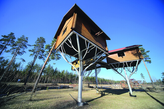 Gribēt, varēt, darīt – īsta meistara filozofija un dzīves jēga.