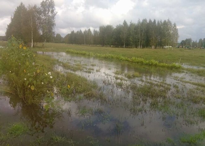 Līvānu novada Jersikas pagasta saimniecības "Vingri" raža iet bojā pēc lielajiem plūdiem.