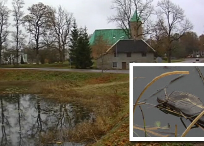 Vilcina prāvu, kurā tiesā Ēdoles invalīda mocītāju. Noslepkavotā brālis jau miris