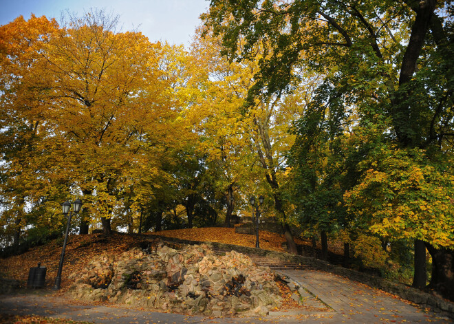 Zelta rudens šogad var būt īpaši krāšņs