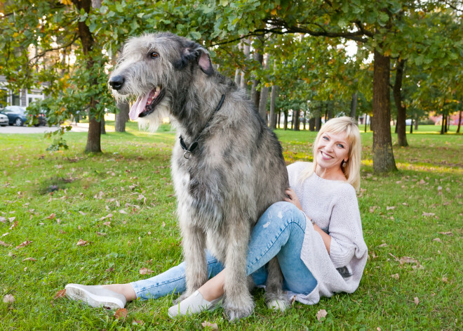 FOTOREPORTĀŽA: Grāvera ģimenes 85 kg smagais Alfons pirmo reizi mūžā pucējas frizētavā