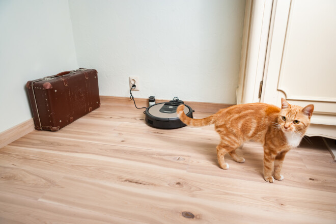 Zeļģu ģimenes mīlulis Pikačū no robota dūkoņas nebaidās.