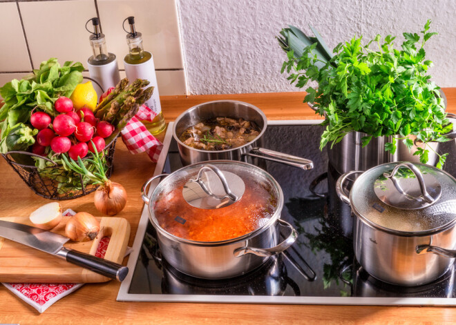 Kādu plīti izvēlēties: gāzes vai elektrisko, keramikas vai indukcijas virsmu?