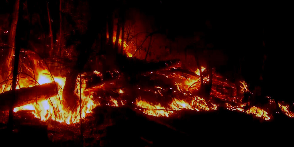 Kalifornijas ugunsgrēkos 31 bojāgājušais un simtiem pazudušo