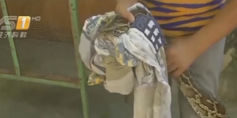 Китаянка нашла в стиральной машине 52-килограммового удава