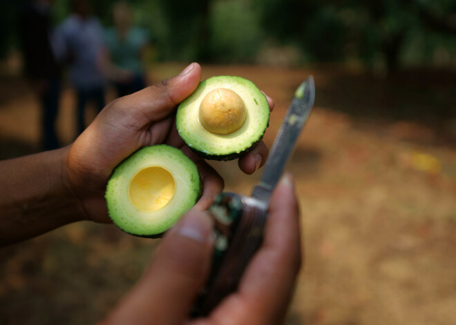 Avokado ir brīnumprodukts, kas cīnās ar metabolo sindromu