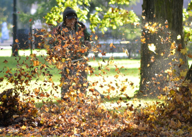 Daudzi rīdzinieki nezina par aizliegumu dedzināt rudens lapas