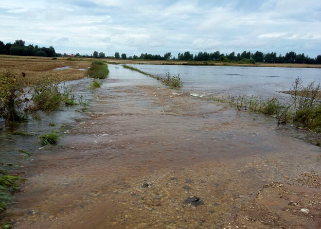 Valdība piešķir teju 15 miljonus eiro lauksaimniekiem, kuri cieta no augusta plūdiem