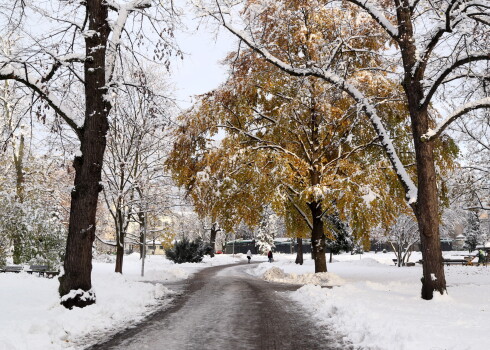 Piesnidzis Vērmanes dārzs rudenī.