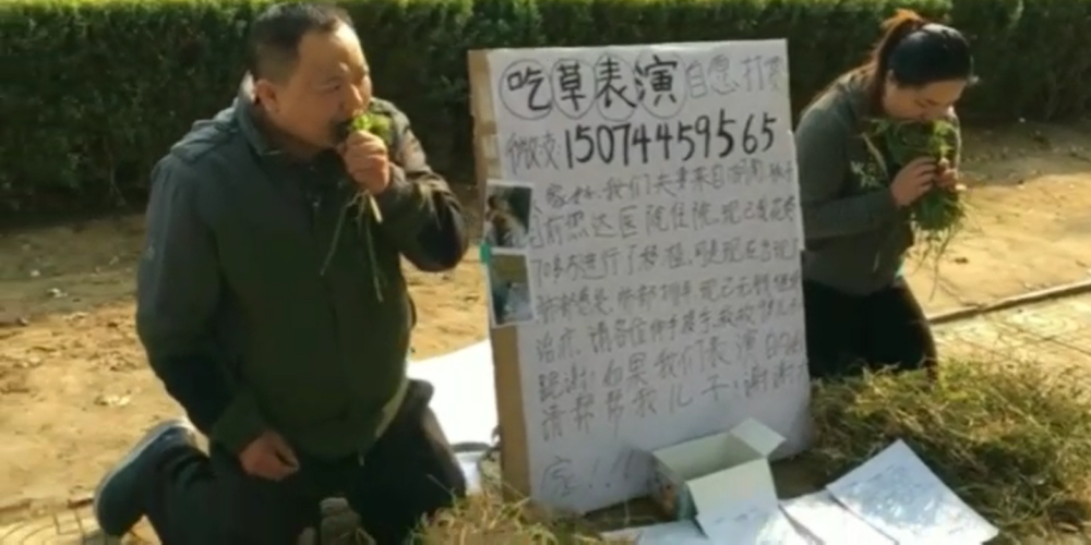Vecāki Ķīnā ēd zāli, lai savāktu naudu ar vēzi slimā dēla glābšanai