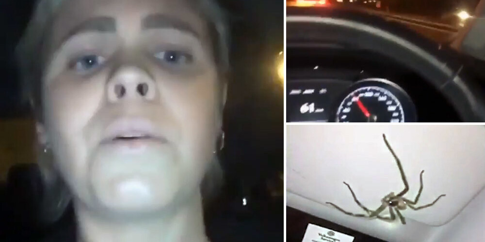 Sieviete savā automašīnā kļūst par liela zirnekļa ķīlnieci
