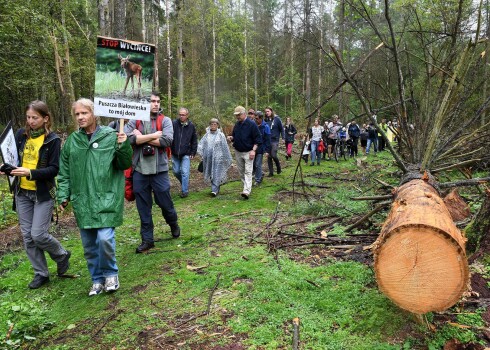 Protestētāji Belovežas gāršā aizstāv pēdējo Eiropas pirmatnējo mežu. 