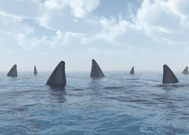 Стая акул растерзала десятки мигрантов, тонущих в Средиземном море