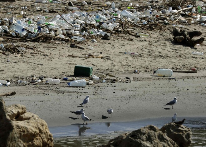 Eksperti atklāj satraucošu tendenci: Vidusjūrā drīz plastmasas atkritumu būs tikpat daudz, cik zivju