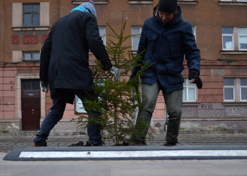 Organizācijas "Riga Tactical Urbanists" aktīvisti aizsāk jaunu akciju #SAKOPRĪGU - tukšajos melnzemes kvadrātos Krišjāņa Barona ielā starp Artilērijas un Lielgabala ielām ievietojot svētku eglītes.