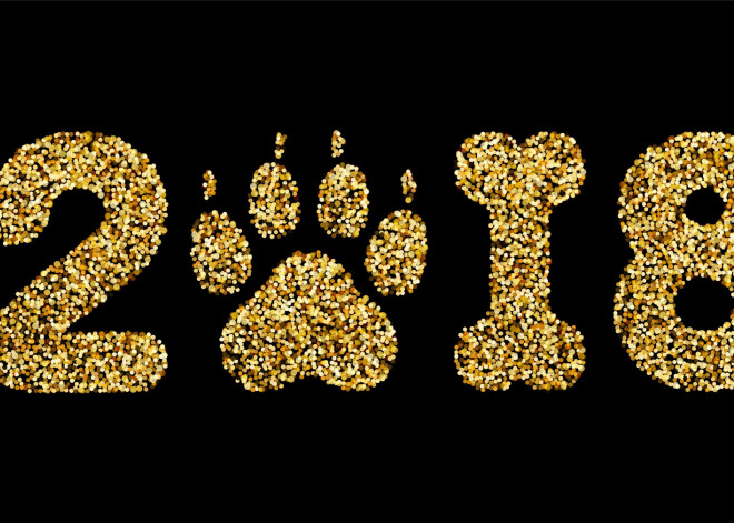 Самый полный китайский гороскоп на 2018 год