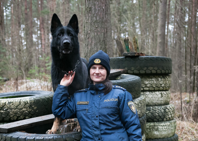 Kā jūtas noziedznieks, stājoties pretī policijas sunim? Saruna ar kinoloģi Gundu Šabanovu