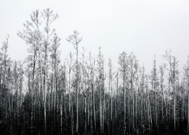 Decembris jau pusē, bet daļā Latvijas joprojām meteoroloģiskais rudens