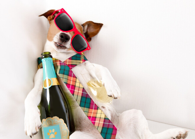 Как снять похмелье в домашних условиях?