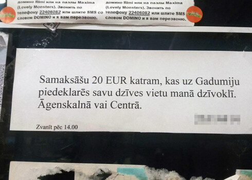 Pēdējās dienās viena no pieprasītākajām profesijām Rīgā ir viltus īrnieki, kas palīdzētu namīpašniekiem izvairīties no paaugstināta nekustamā īpašuma nodokļa.