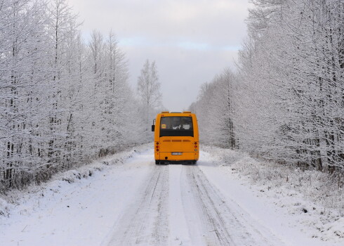 Autobuss uz meža ceļa.