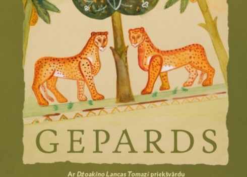 Grāmatas vāks.