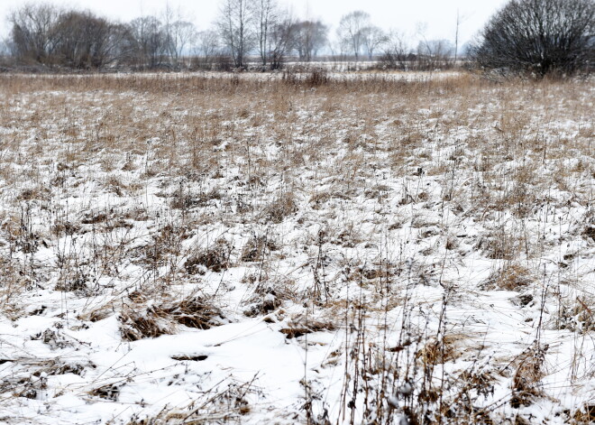 Jelgavas iedzīvotājas Intas Grantas Latvijai dāvinātais nekustamais īpašums "Antonijas pļava" dabas liegumā "Lielupes palienes pļavas".