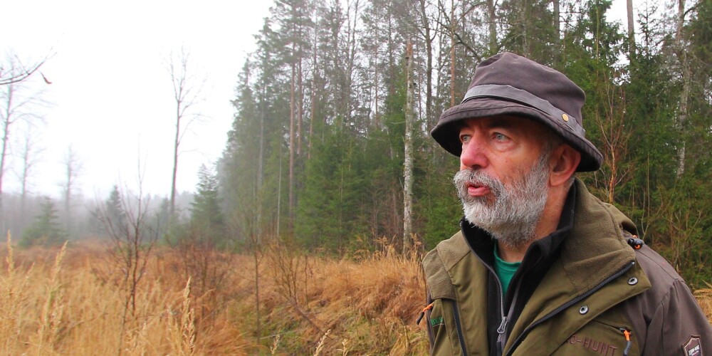 Zviedru uzņēmums rāda, kā saimniekot mežā zaļi